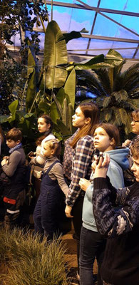 You are currently viewing Экскурсия в «Ботанический сад»￼