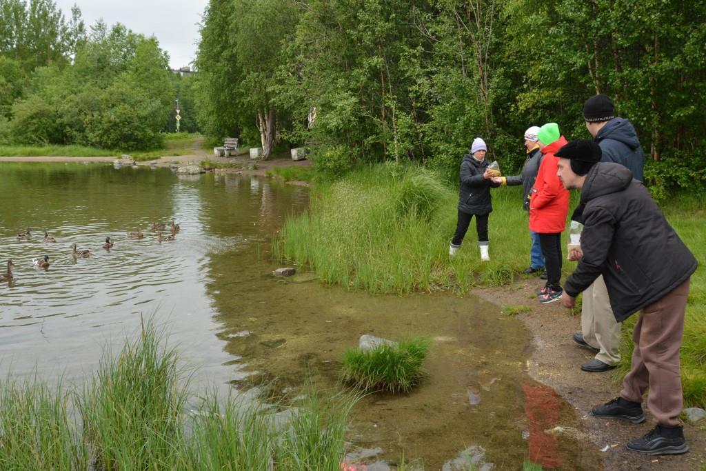 5 получателей услуг с берега кидают в воду корм для уток
