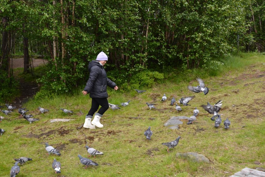 одна из получателей услуг в окружении голубей